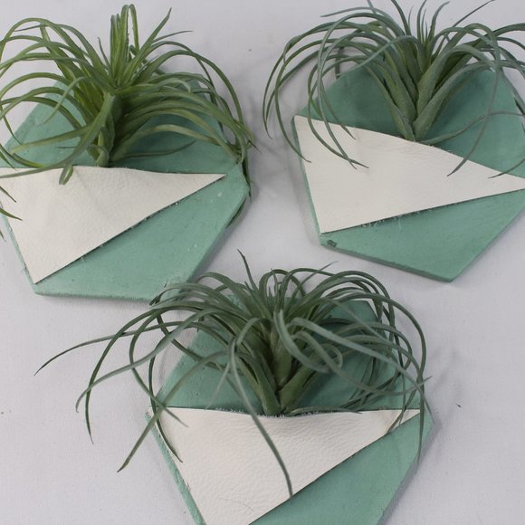 Faux Succulent 3PC Set Wall Pockets Teal #129 - Picture 4 of 4